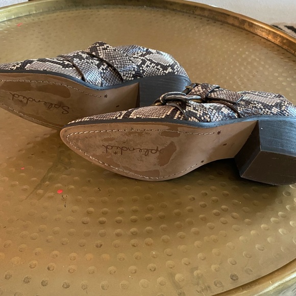 Splendid Snakeskin Booties - Picture 3 of 4